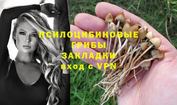 каннабис Бородино
