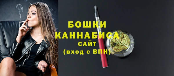 индика Балабаново