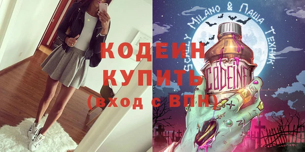 спиды Богданович