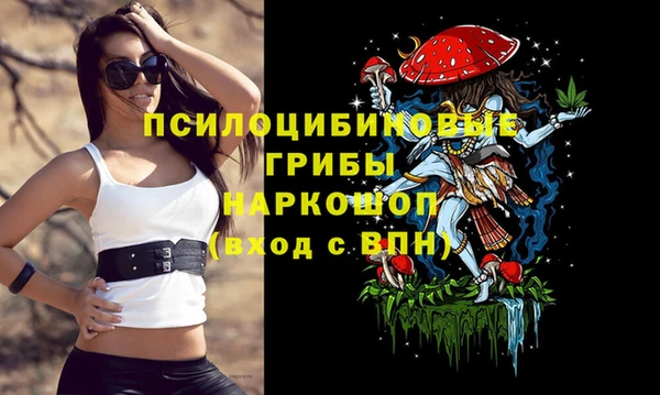 гидра Бронницы