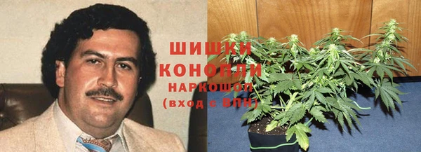 спиды Богданович