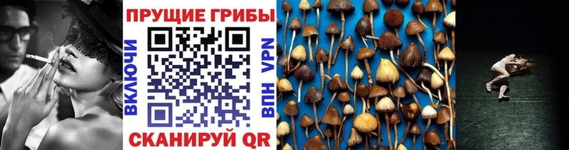 Галлюциногенные грибы GOLDEN TEACHER Ершов