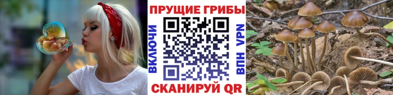 Псилоцибиновые грибы GOLDEN TEACHER  Ершов 